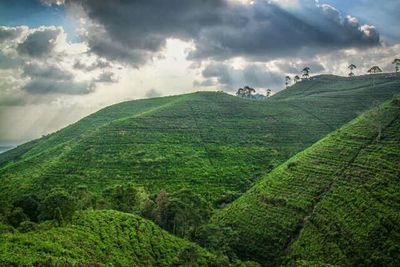 Scenic view of landscape against cloudy sky