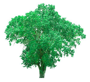 Abstract pattern against white background