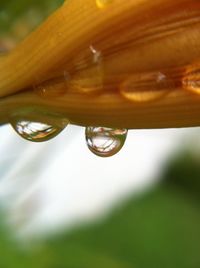 Close-up of water drops on glass