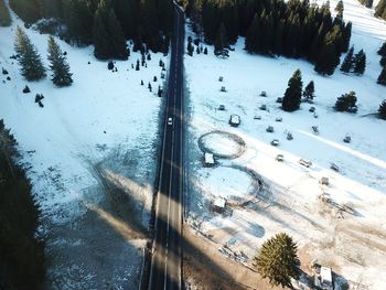 High angle view of snow covered plants by road