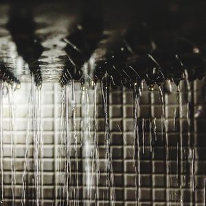 Close-up of water drops on spider web