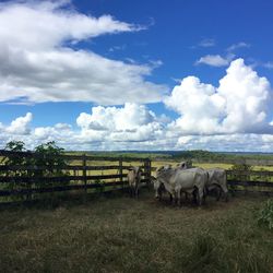 Scenic view of field against cloudy sky