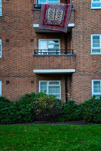 Ivy growing on wall of building