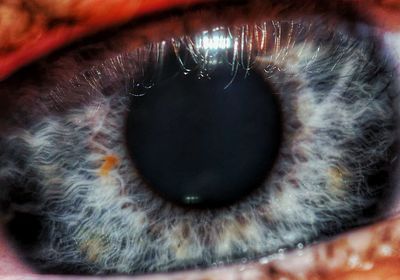 Extreme close-up of human eye