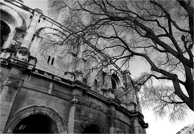 Low angle view of bare tree against sky