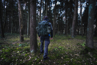 Rear view of man standing in forest