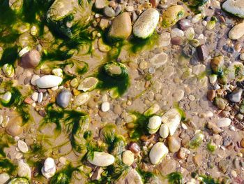 High angle view of stones in lake