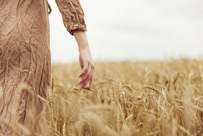 Close-up of hand touching wheat field against sky