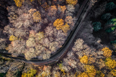 High angle view of railroad track in forest during winter