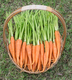 High angle view of vegetables in basket