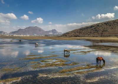 Scenic view of lake against sky