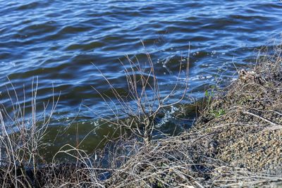 High angle view of rippled water