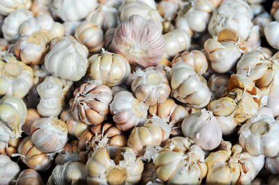 Full frame shot of seashells