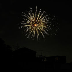 Low angle view of firework display at night