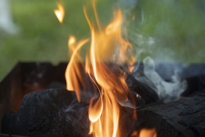 Close-up of bonfire