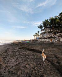 View of people on beach