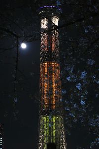 Low angle view of illuminated tree against sky at night