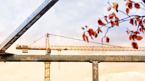 Low angle view of crane against sky