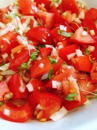 Close-up of served food