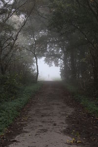 Footpath amidst trees against sky during foggy weather