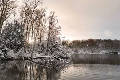 Bare trees by lake against sky during winter