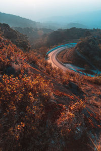 High angle view of road amidst trees against sky