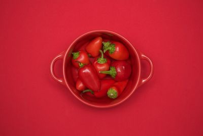 Directly above shot of tomato in bowl against red background