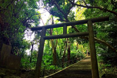 Footbridge in forest