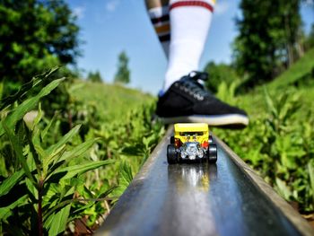 Low section of person riding motorcycle on plants