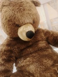 Close-up of stuffed toy