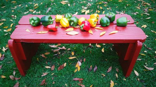 High angle view of vegetables on grass