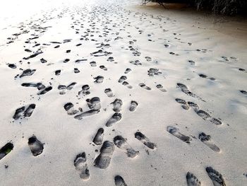 High angle view of footprints on wet sand