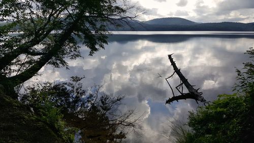 Scenic view of lake by trees against sky
