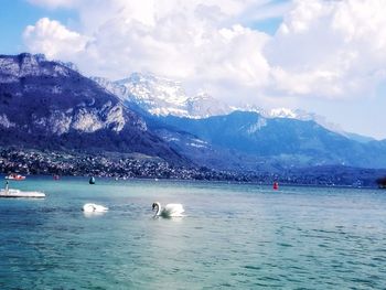 Swans on sea by mountains against sky