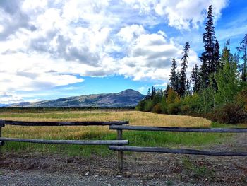 Scenic view of landscape against sky