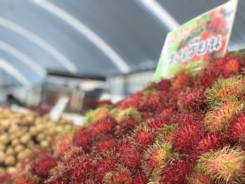 Close-up of fruits for sale at market stall