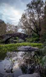River amidst trees against sky