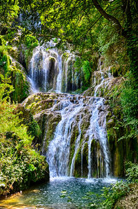 Scenic view of waterfall in forest