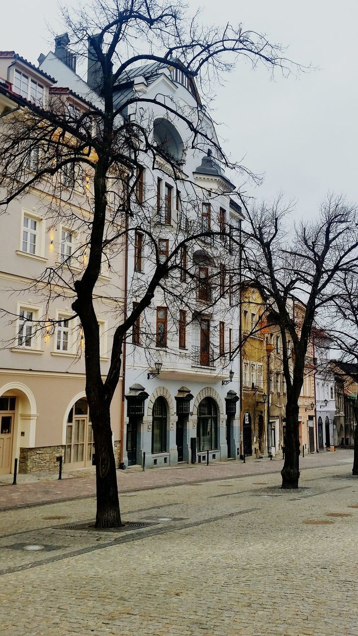 architecture, tree, travel destinations, outdoors, sky, no people, day