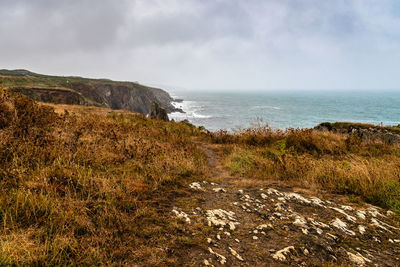 Scenic view of sea against sky