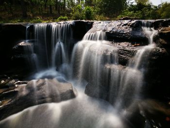 View of waterfall in forest