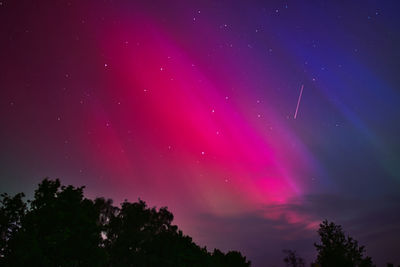 Low angle view of trees against sky at night