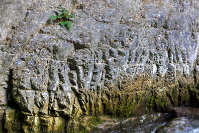 Close-up of rock formation in water