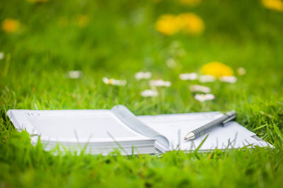 High angle view of woman reading book on field