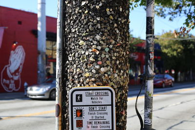 Close-up of information sign on tree trunk