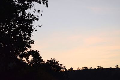 Low angle view of silhouette trees against sky during sunset