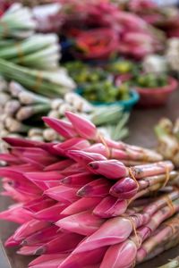 Close-up of pink flowers for sale in market