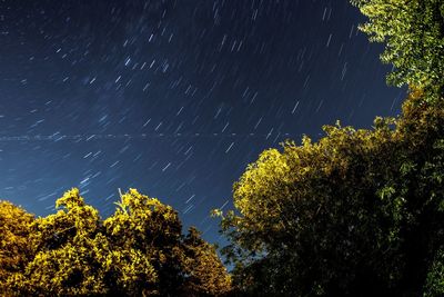 Low angle view of trees against star field at night