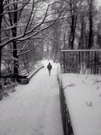 Rear view of man walking on snow covered road