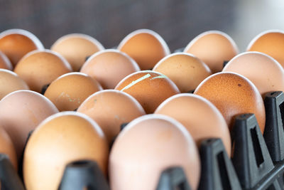 Close-up of eggs in row